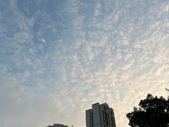 -万绿园