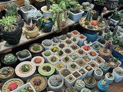 -香炉礁家具市场