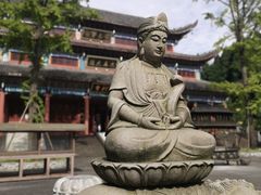 -武陵山森林公园