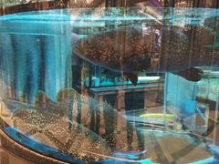 -金翠皇宫粤菜·点心·海鲜(科技园店)