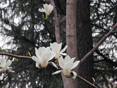 -木塔寺遗址生态公园