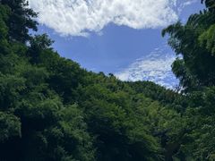 -安吉龙王山峡谷漂流