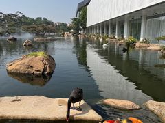 -罗红摄影艺术馆