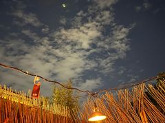 -毛辣果·酸(OHA复兴西路店)