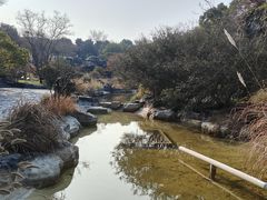 -上海吴淞炮台湾国家湿地公园