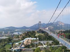 -西霞口神雕山野生动物世界