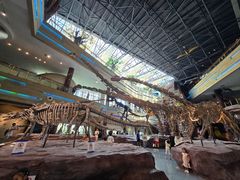 -安徽省地质博物馆