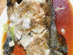 龙石斑-盒马鲜生(新都心店)