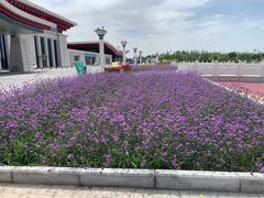 -敦煌莫高国际机场