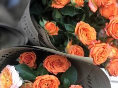 -循礼门鲜花花市(武汉循礼门店)