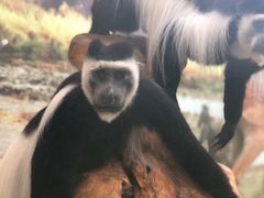 -郑州自然博物馆(惠济区)