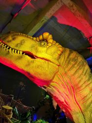 -恐龙探索乐园(磁器口店)