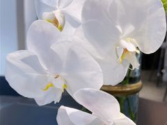 -威海小海鲜大排档胖哥烧烤(双井店)