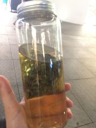-鲍海兵