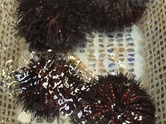 -滨海小渔村·海肠捞饭·鲅鱼水饺·特色老火鱼丸汤(华田店)