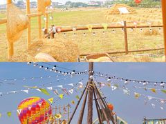 -趣飞飞黑麋峰国际滑翔伞基地