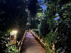 -夜间野生动物园