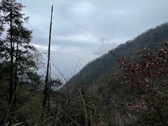 -东天目山风景区