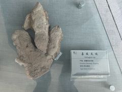 -延庆地质公园博物馆