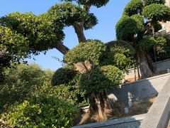 -白云山风景名胜区
