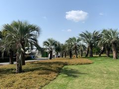 -南通洲际绿博园
