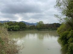 -西溪国家湿地公园