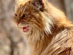 -北京西山国家森林公园