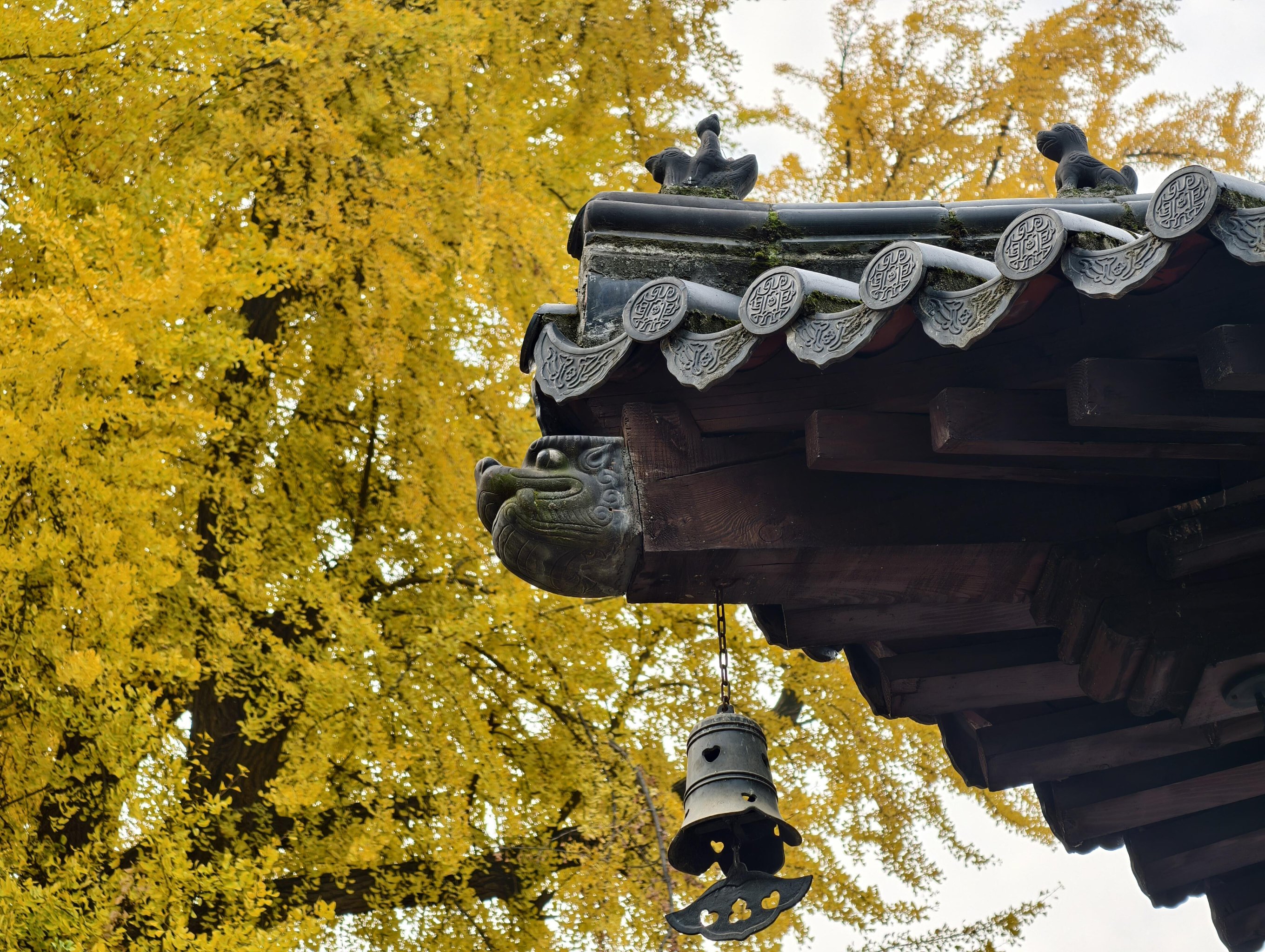 西安古观音禅寺图片