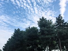 -汉长安城未央宫国家考古遗址公园