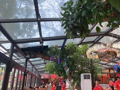 -海岛八号龙虾烧烤田鸡(蓝天路总店)