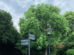 -杭州城北体育公园