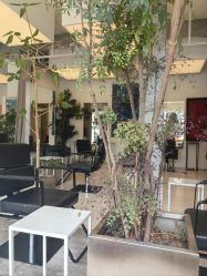 -Hair  Gallery