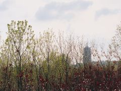 -永定河休闲森林公园