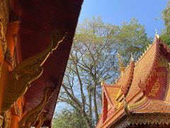 -西双版纳总佛寺