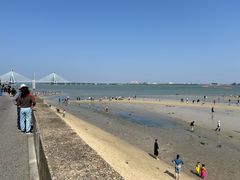 -北海金海湾红树林生态旅游区