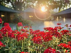 -大妙火锅·非物质文化遗产(东湖公园店)