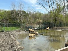 -溱湖国家湿地公园