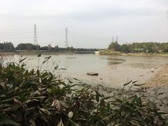 -黄埔古港