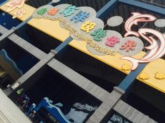 -泉城欧乐堡海洋极地世界