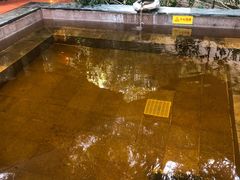 -韶关经律论国际酒店温泉