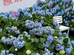 -HALO广场(梨园路店)