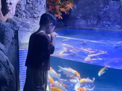 -左海海底世界