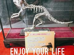 -吉林省自然博物馆