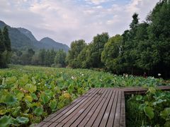 -贵阳市花溪国家城市湿地公园