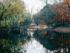 -上海共青森林公园