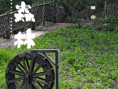 -众神白水涧景区