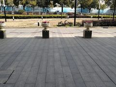 -绚荟城