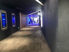 -万象影城(石家庄万象城IMAX激光店)