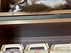 -咖法森林·咖啡  酒吧(天河店)