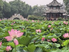 -莲池书院博物馆